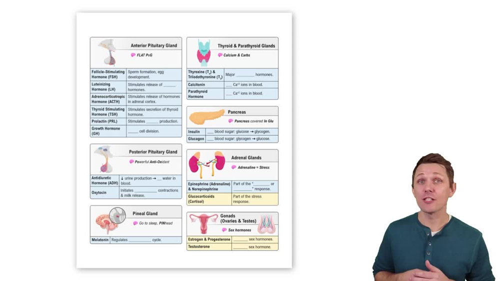 Review of Major Hormones