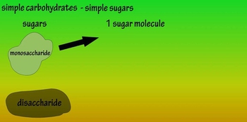 What Are Simple Carbohydrates - Monosaccharides - Glucose - Fructose - Disaccharides