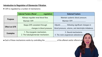 Introduction to Regulation of Glomerular Filtration