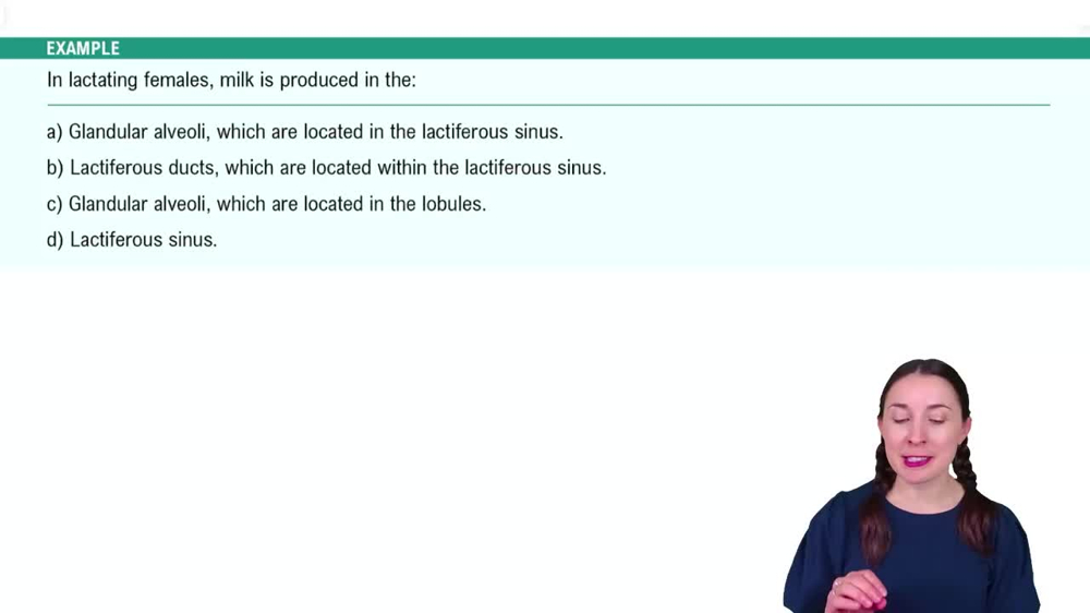 Anatomy of the Female Reproductive System Example 9