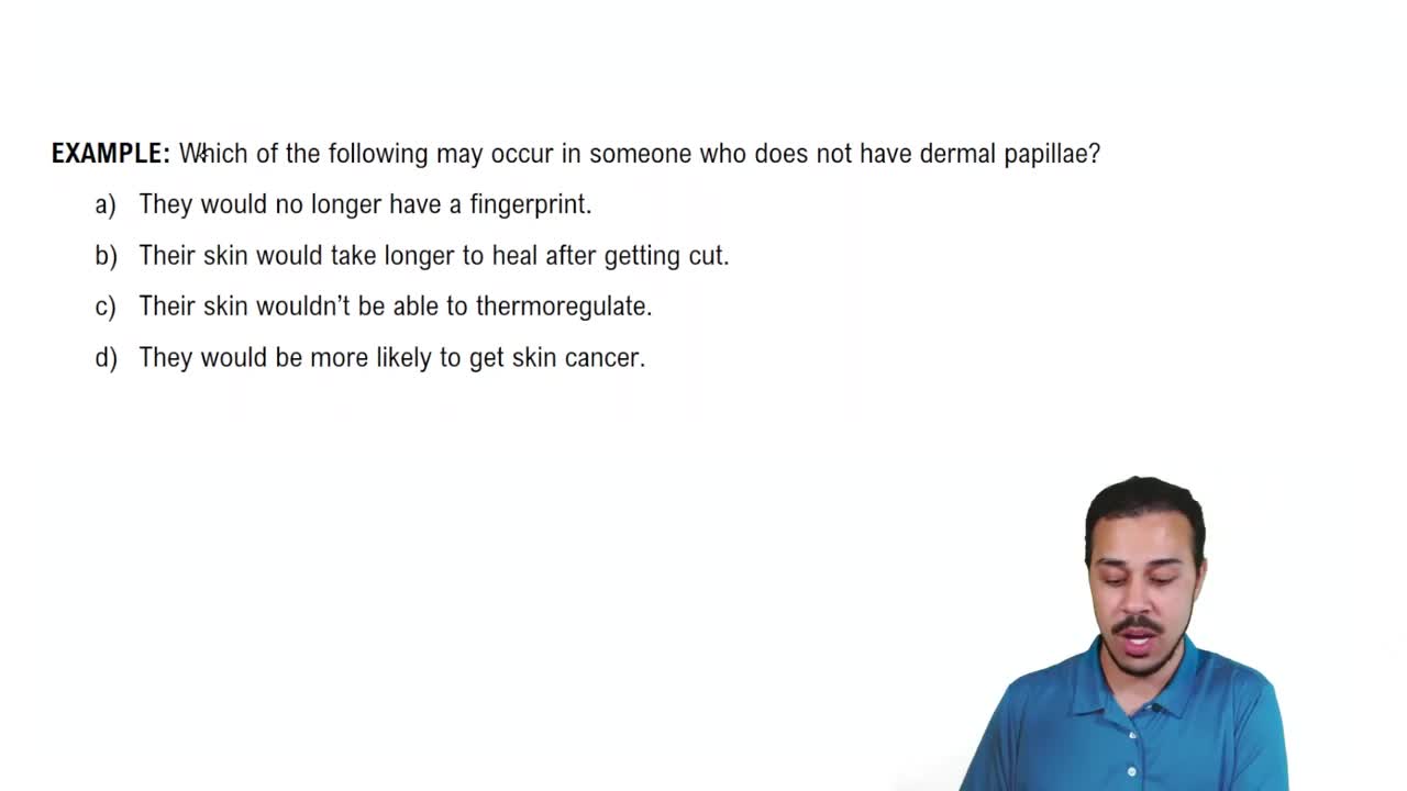 The Dermis Example 2