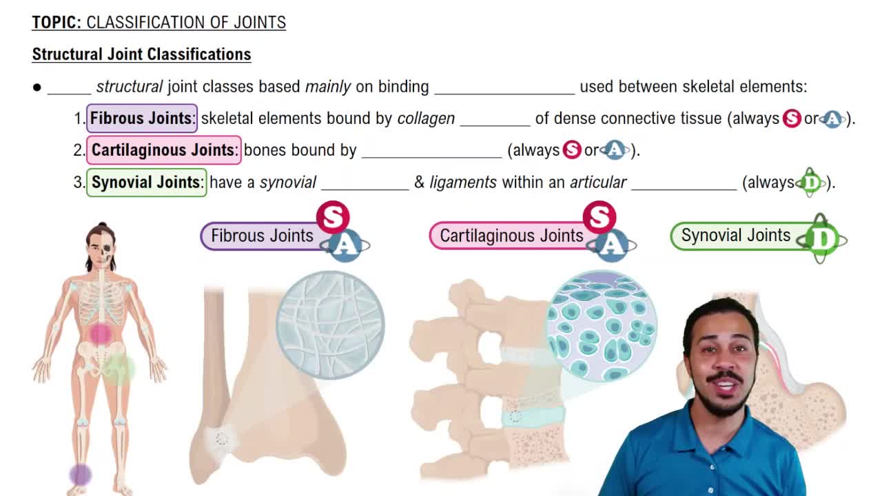 Structural Joint Classifications