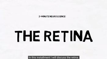 Neuroscience: The Retina