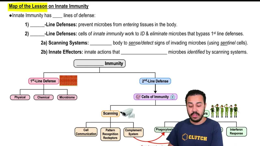 Map of the Lesson on Innate Immunity