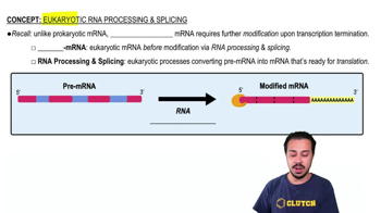 Eukaryotic RNA Processing and Splicing