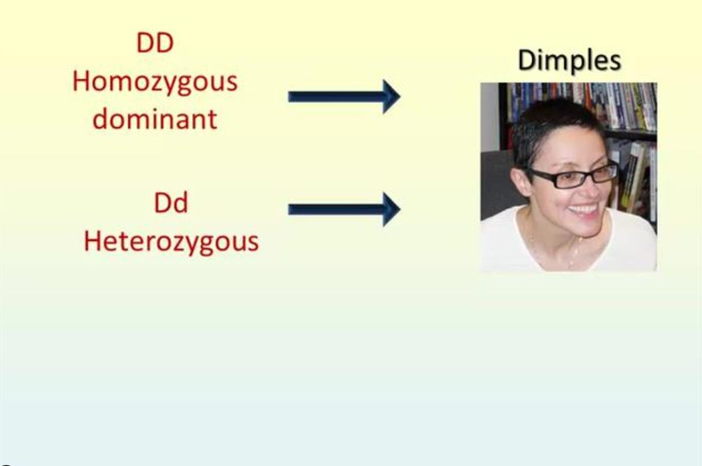 MyReadinessTest Video: Allele Interactions