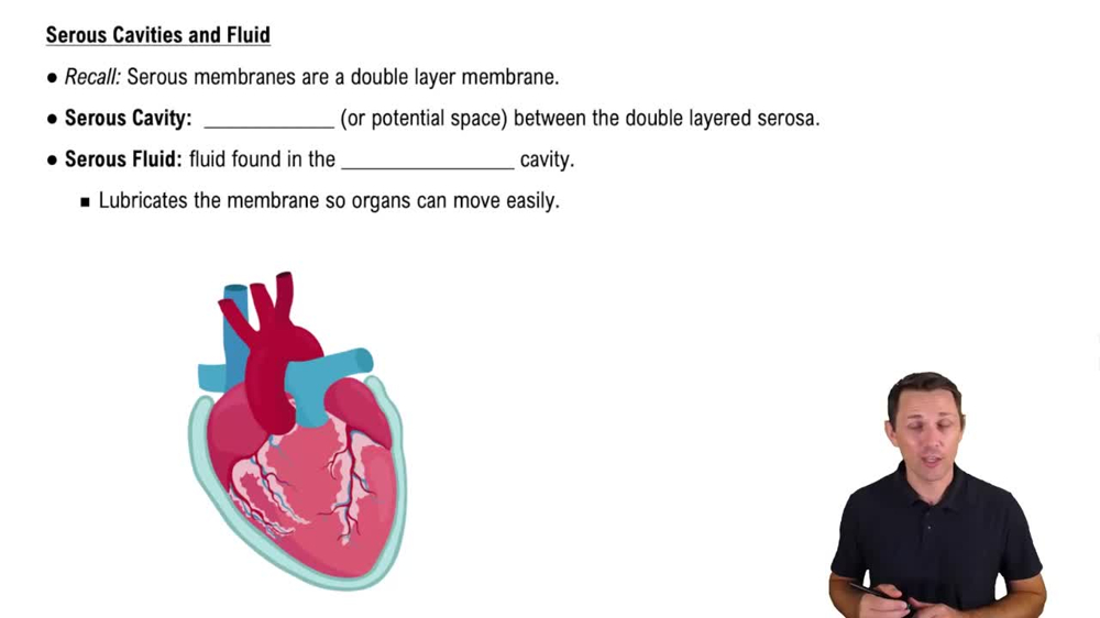 Serous Cavity and Fluid