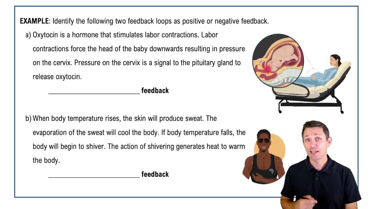 Feedback Loops Example 1
