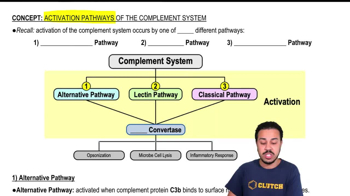 Alternative Pathway