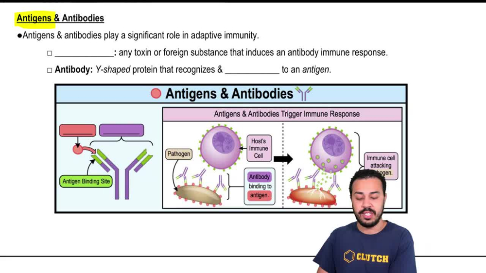 Antigens & Antibodies