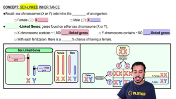 Sex-Linked Inheritance