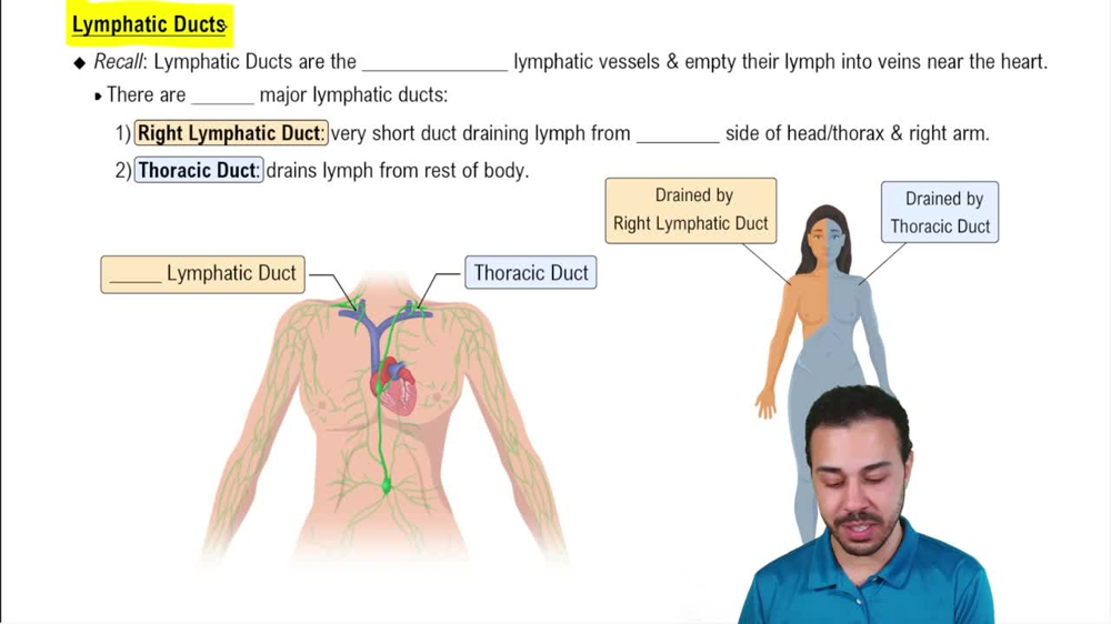 Lymphatic Ducts