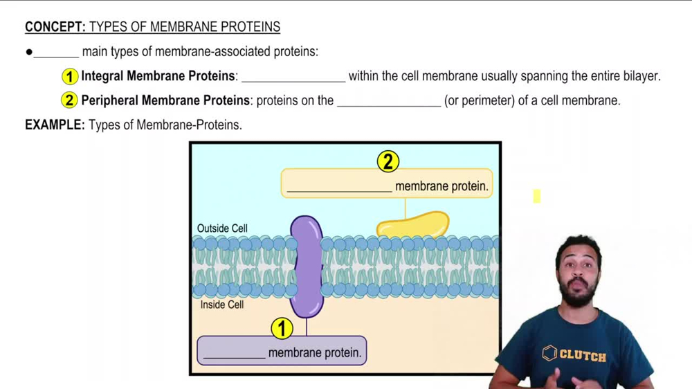 Types of Membrane Proteins