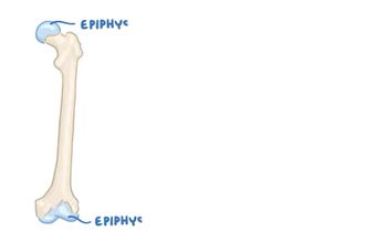 Rickets/osteomalacia - causes, symptoms, diagnosis, treatment, pathology