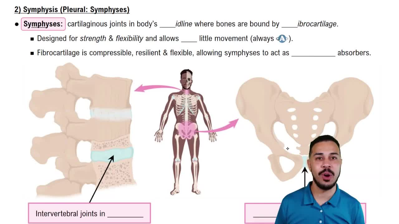 Symphysis (Plural: Symphyses)