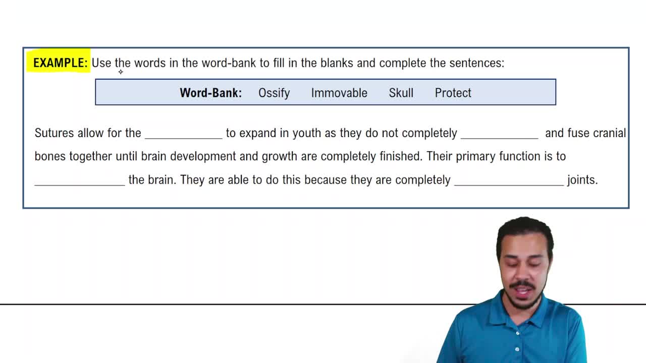 Structural Class: Fibrous Joints Example 1