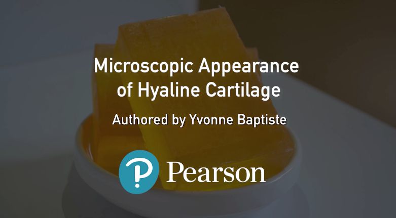 Microscopic appearance of hyaline cartilage