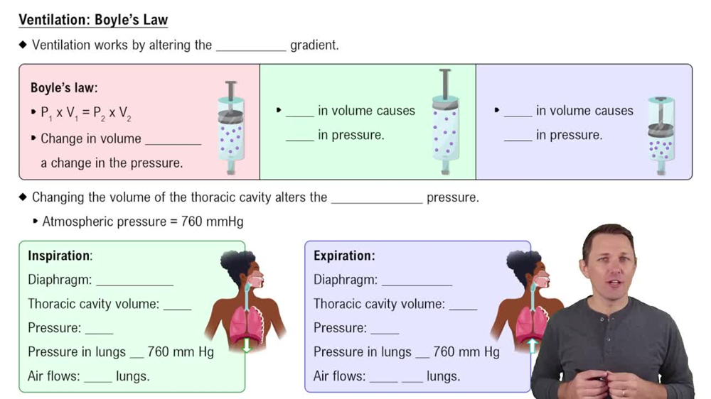 Ventilation: Boyle’s Law