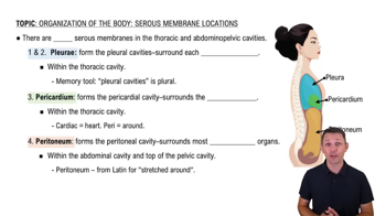 Locations of Serous Membranes