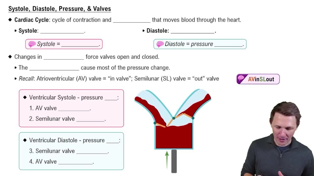 Systole, Diastole, Pressure, & Valves