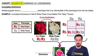 Incomplete Dominance