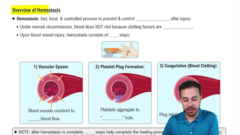 Overview of Hemostasis