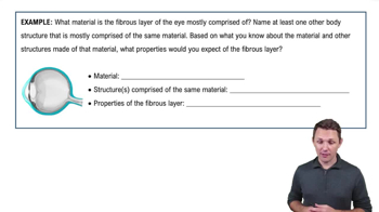 Fibrous Layer of the Eyeball Example 1