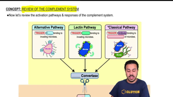 Review of the Complement System