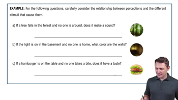 Introduction to Special Senses Example 1
