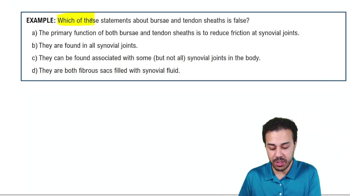 Structural Class: Synovial Joints Example 3