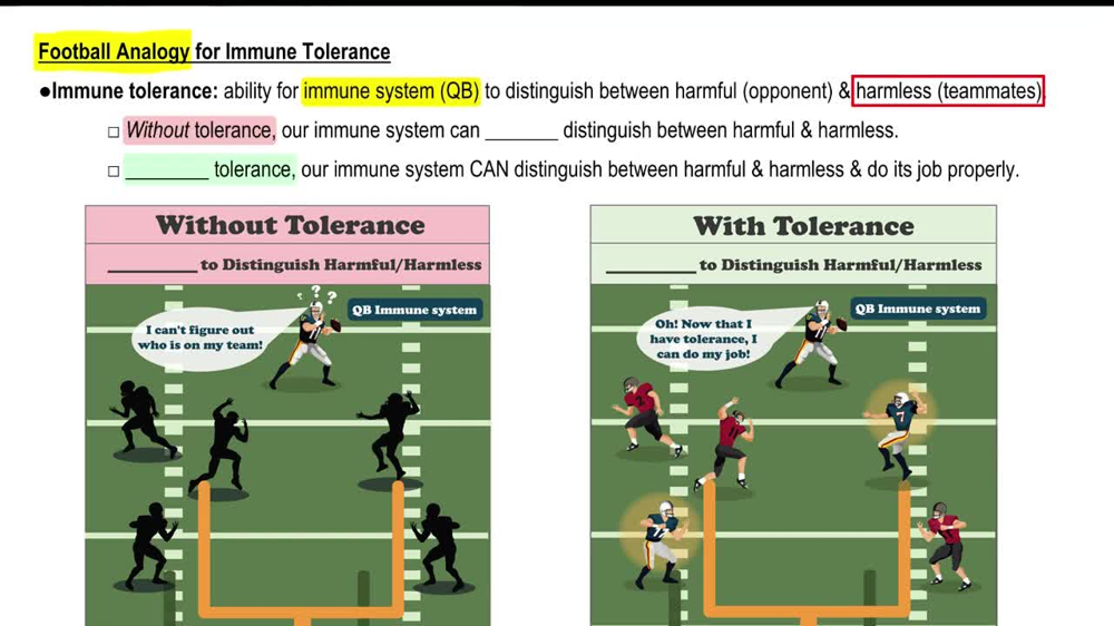 Football Analogy for Immune Tolerance
