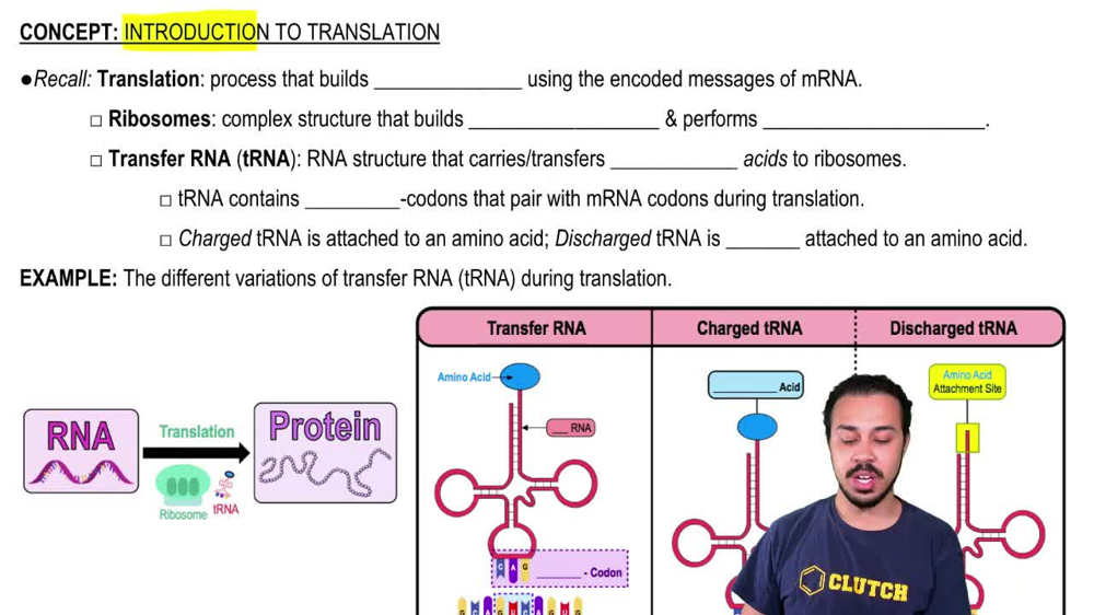 Introduction to Translation