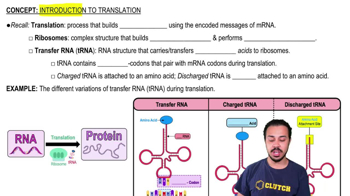 Introduction to Translation
