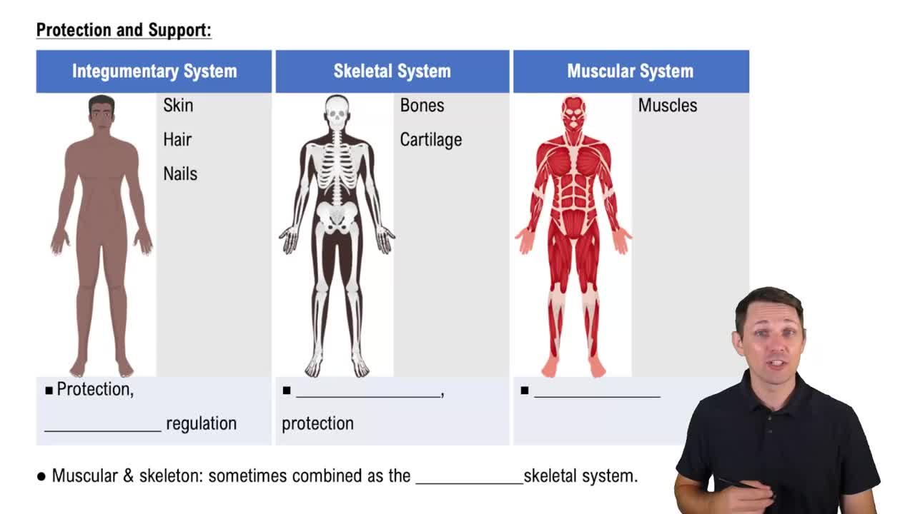 Protection and Support