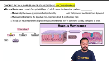 Mucous Membranes