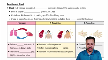 Functions of Blood