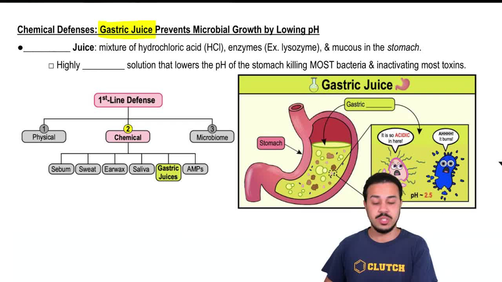 Gastric Juice