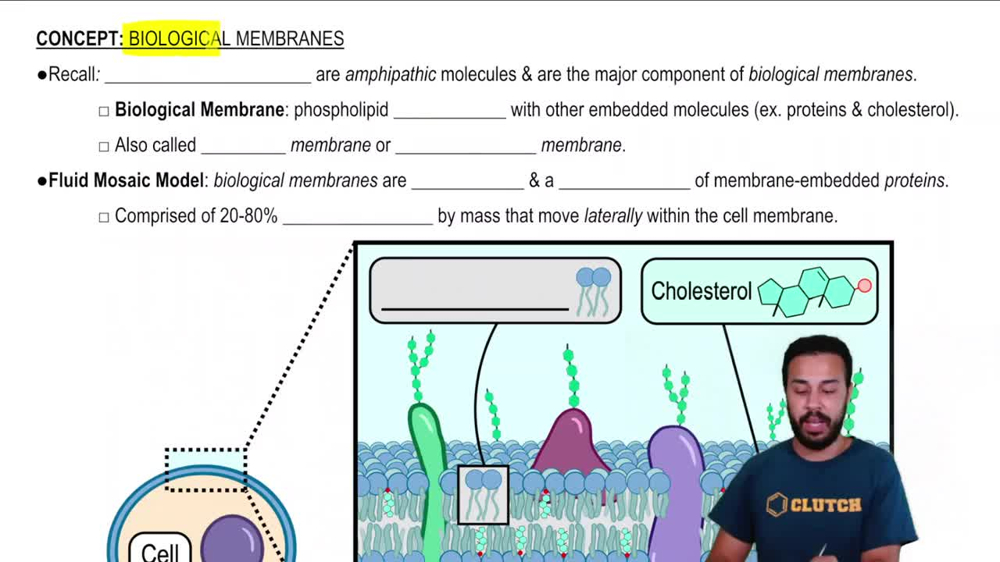 Biological Membranes