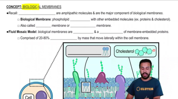 Biological Membranes