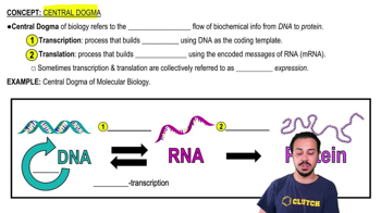 Central Dogma