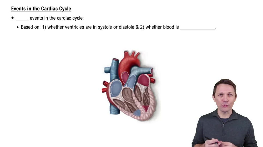 Events in the Cardiac Cycle