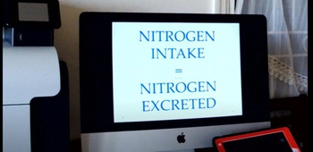 Nitrogen Balance, Positive & Negative