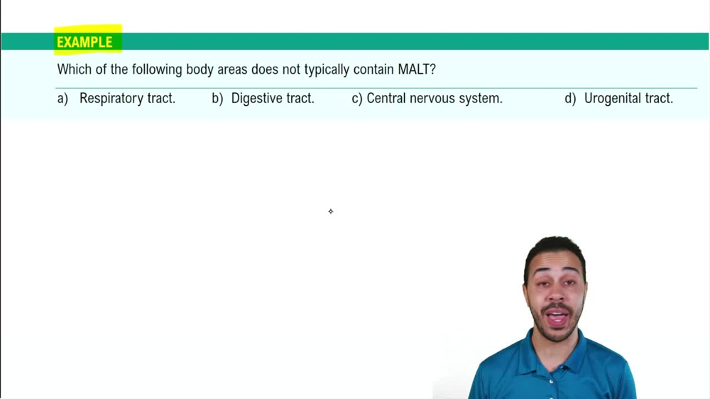 Secondary Lymphoid Organs: MALT Example 1