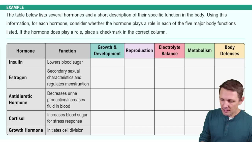 Introduction to the Endocrine System Example 2