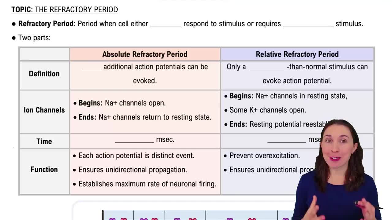 Refractory Period