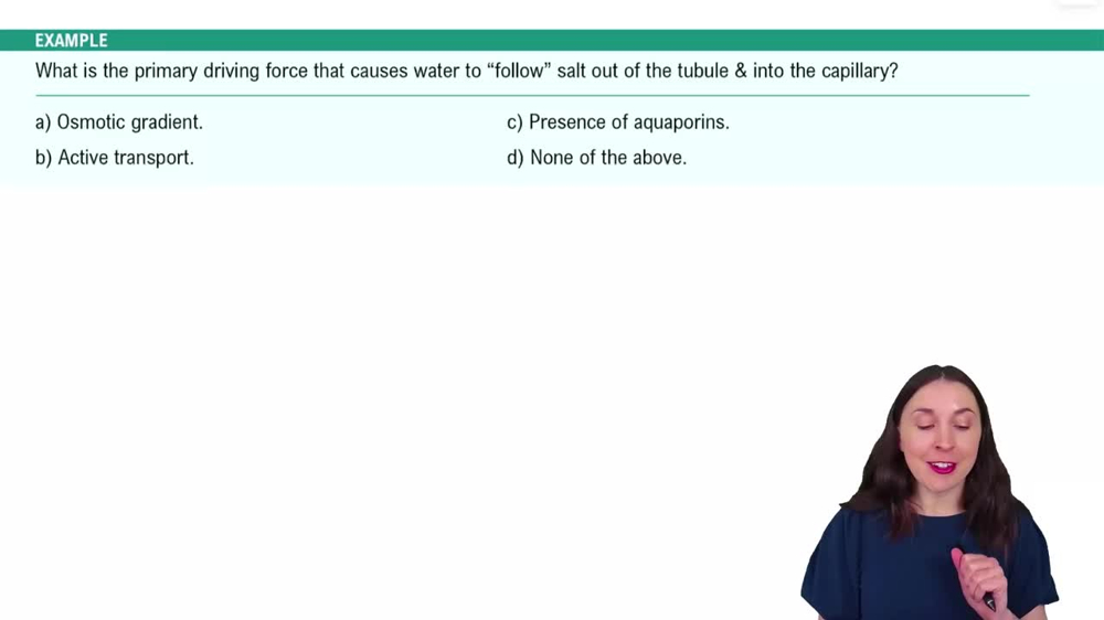Renal Physiology Step 2: Tubular Reabsorption Example 3