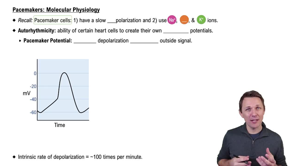 Pacemakers: Molecular Physiology