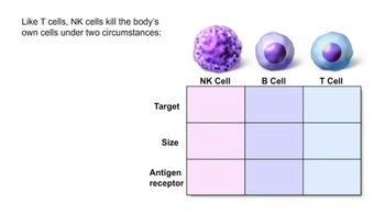 Innate Internal Defenses