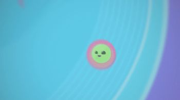 Female Reproductive System