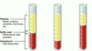 RBCs, WBCs, & Platelets